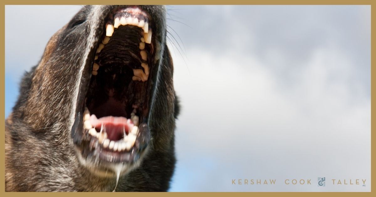 Can I Sue If I Was Bitten by a Police Dog?