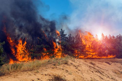 Wildfires and Wrongful Death