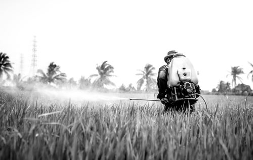 Monsanto Pays Over $2 Billion Verdict to Victims who Developed Cancer Caused by Roundup Use