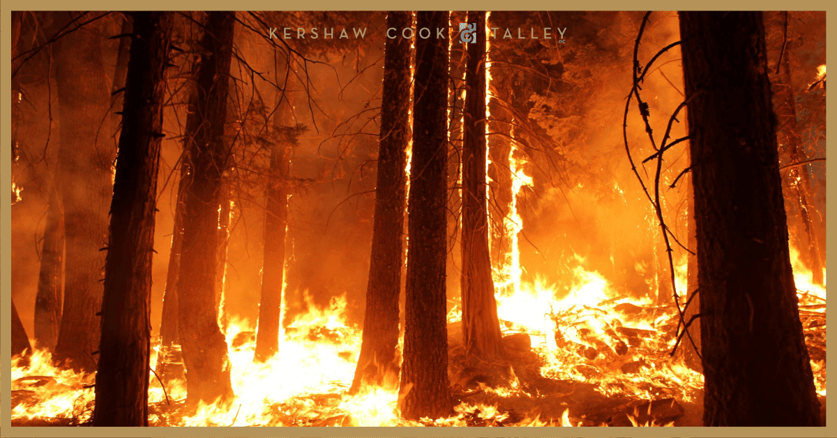 The Latest on Big Lawsuits Against PG&E and Bayer