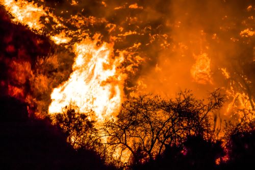 Legal Help & Resources for Victims of the Camp Fire